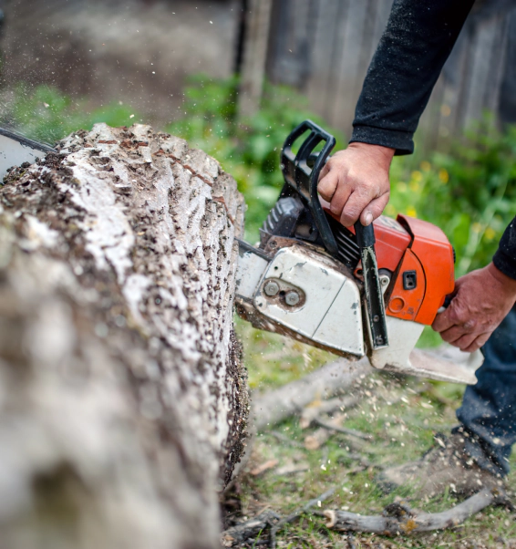 man cutting a tree with a chainsaw